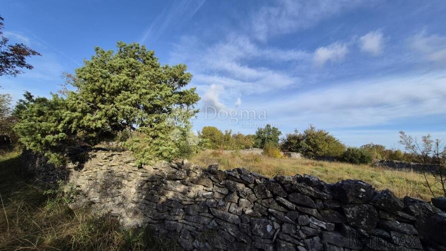 Pašnjak ograđen suhozidom, površine 1705 m2 - 2