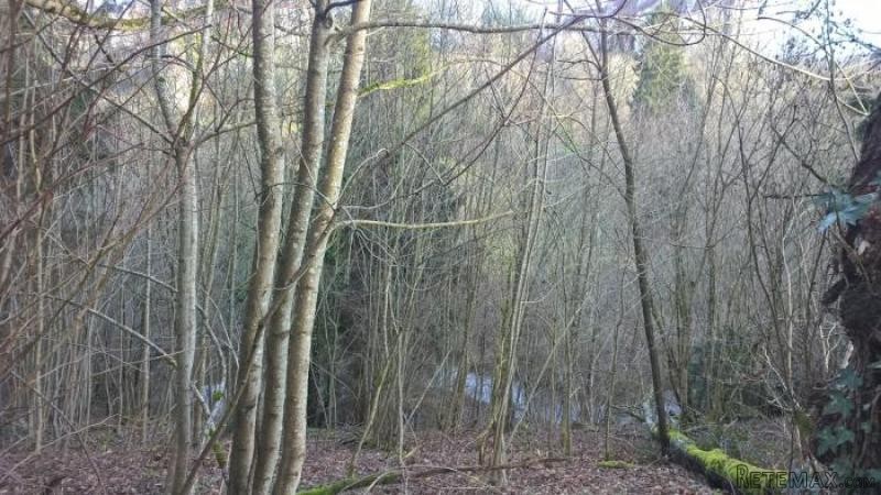 two steps from Boussac center, lovely.. - 2