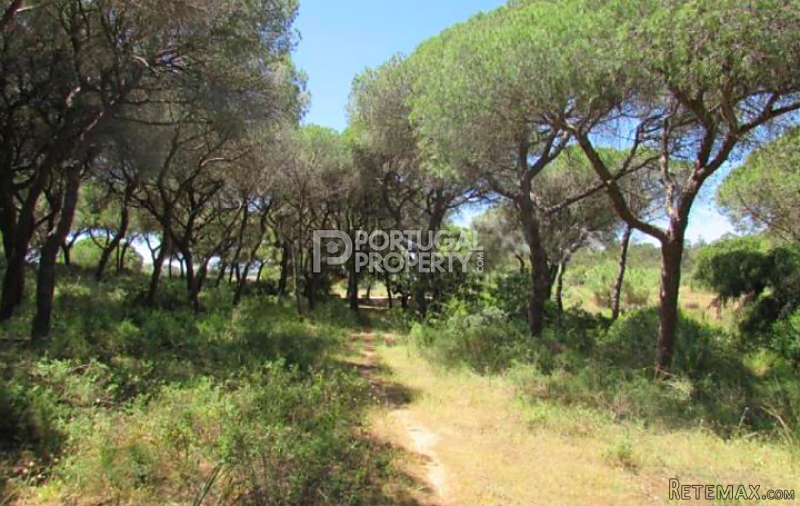 Front Line Plot Close To Vale Do Lobo.. - 2