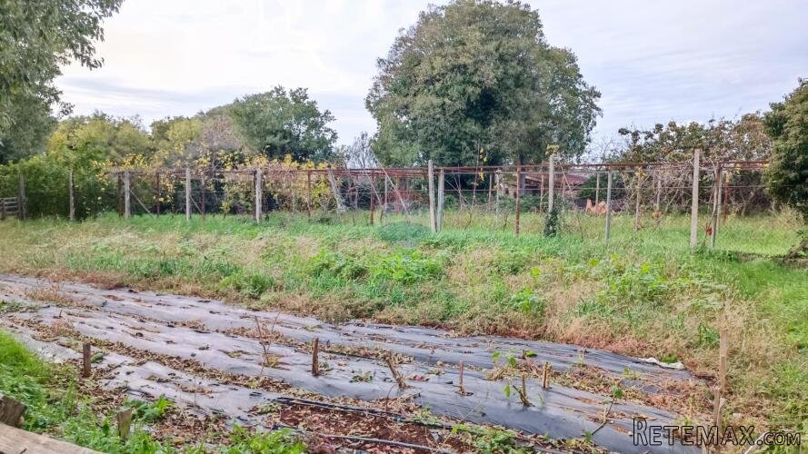 Istra, Valtura - građevinsko zemljište s ucrtanim objektima - 3