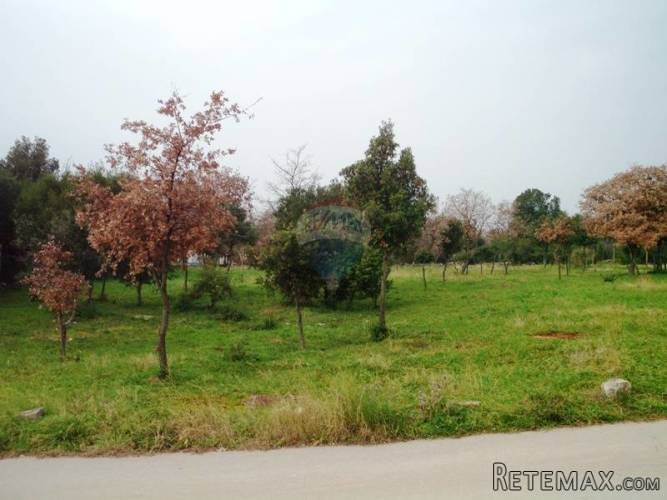 Urbanizirano zemljište 2.487 m2 u Barbarigi