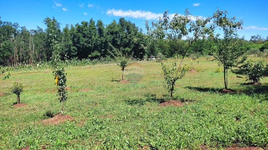 Istra,Brtonigla-Poljoprivredno zemljište,struja voda na tere