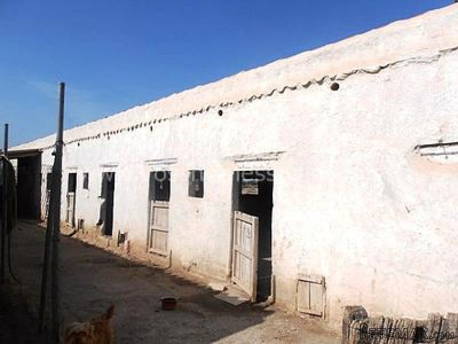 This is a lovely, old cortijo with many outbuildings.. - 11