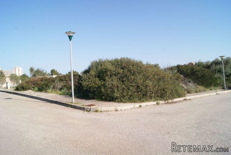 Urban Sandlot has all the infrastructures with beautiful..