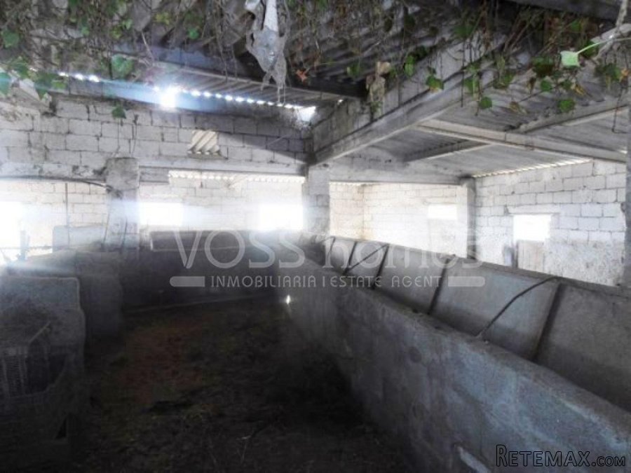 This is a lovely, old cortijo with many outbuildings.. - 18