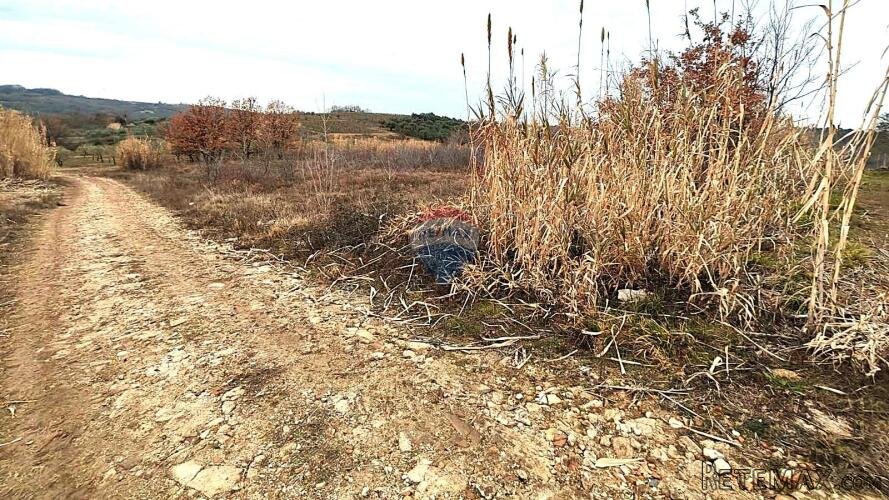 Istra, Buje okolica, poljoprivredno zemljište - 2