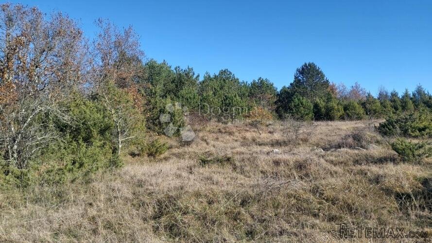 SPUŠTENA CIJENA!!! Poljoprivredno zemljište, pašnjak i šuma - 2