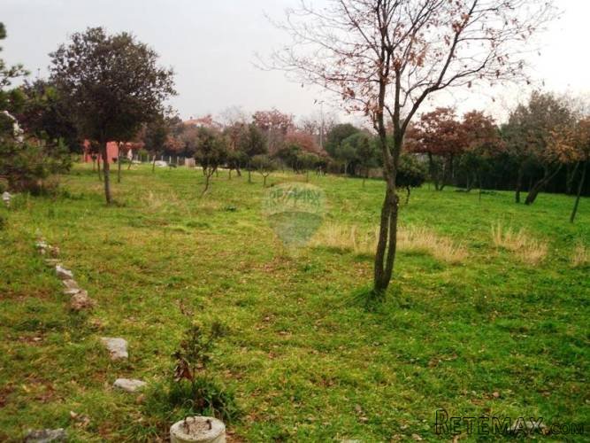 Urbanizirano zemljište 2.487 m2 u Barbarigi - 4