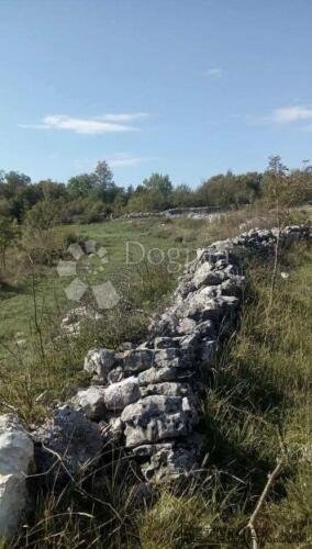 Građevinsko zemljište u okolici Kanfanara