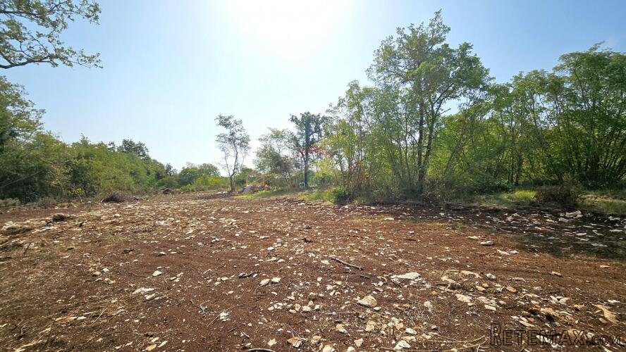 Istra, Buje okolica, negrađevinsko zemljište 16 170 m2 - 2