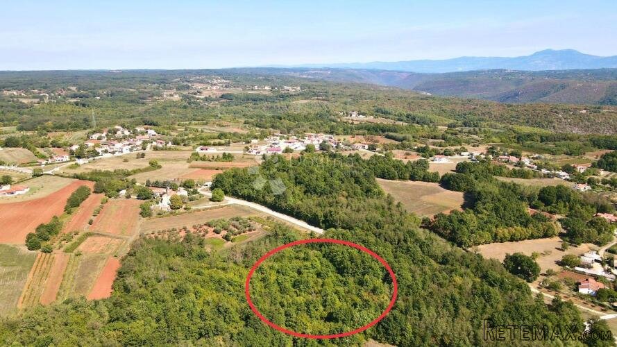 PROSTRANA ŠUMA POVRŠINE 11669m2, BLIZINA NASELJA!! - 2