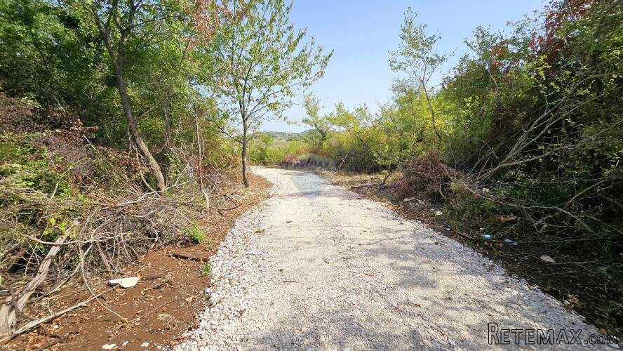 Istra, Buje okolica, negrađevinsko zemljište 16 170 m2 - 3