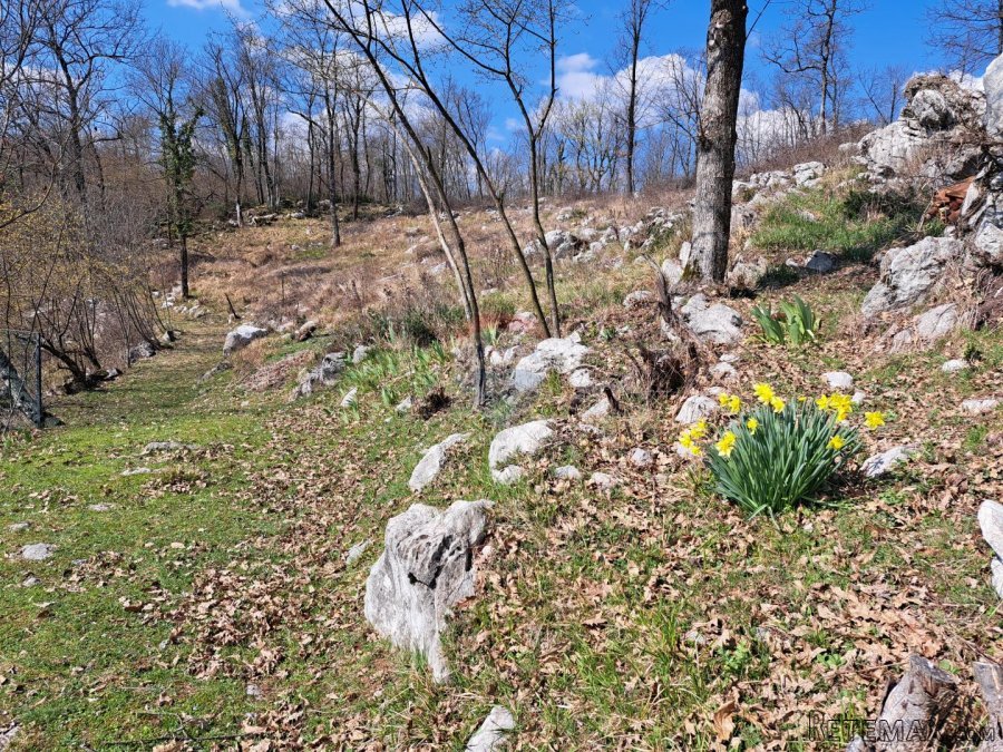 Matulji,okolica,građevinski teren,blizina svih sadržaja - 4
