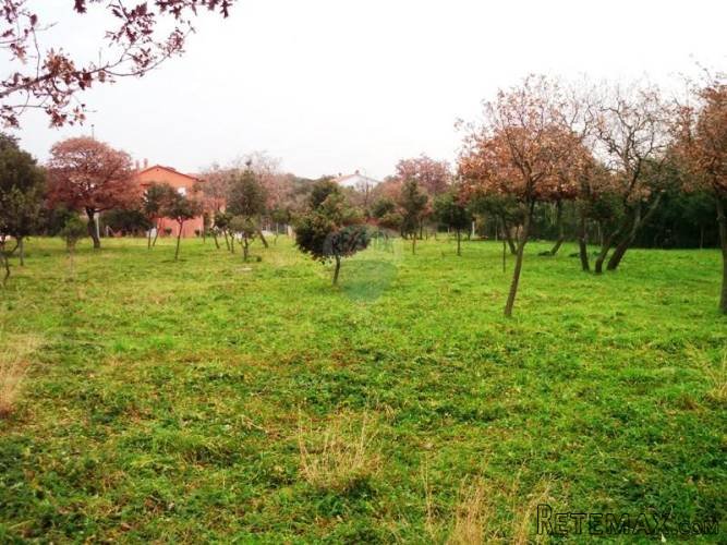 Urbanizirano zemljište 2.487 m2 u Barbarigi - 5