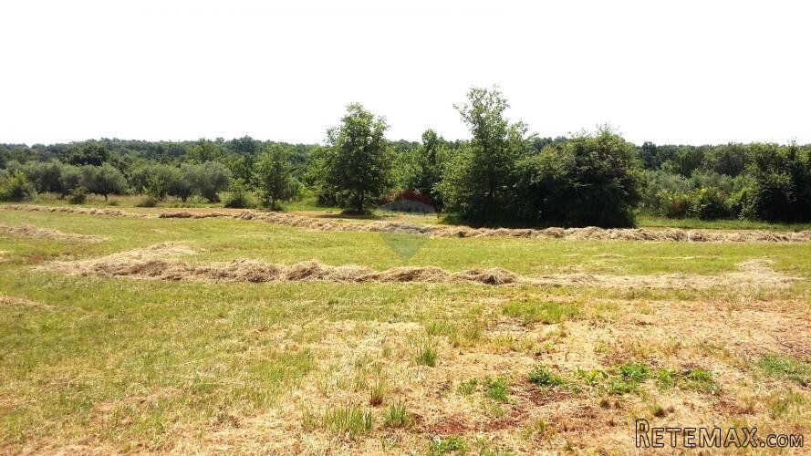 Istra, Umag - rubno građevinsko zemljište, 2 km od mora