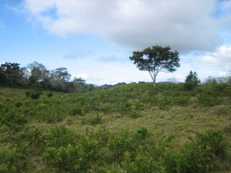 60 Acres Of Farmland Close To Puerto..