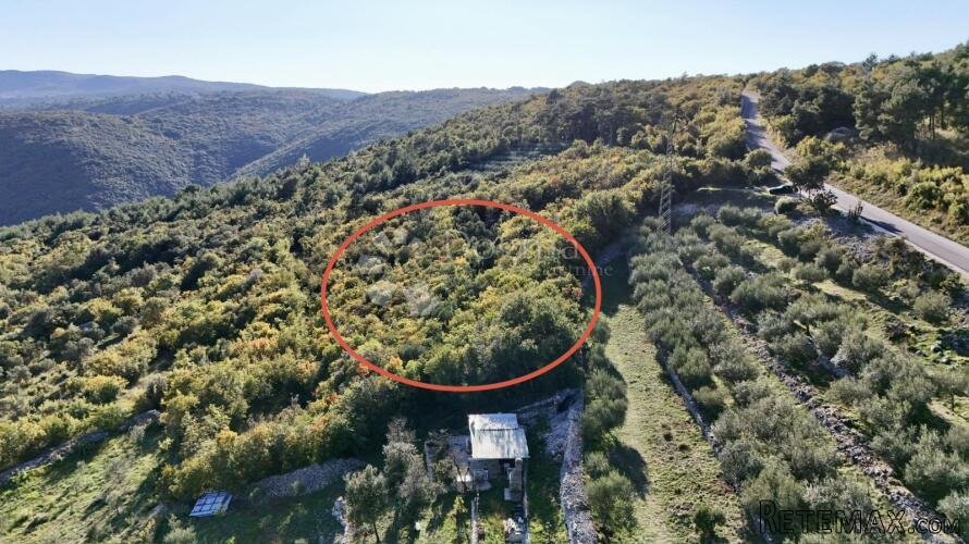 RABAC,SAMO U PONUDI NAŠE AGENCIJE, poljoprivredno zemljište