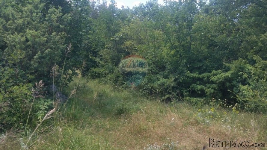VELIKO POLJOPRIVREDNO ZEMLJIŠTE NA ODLIČNOJ LOKACIJI! - 3
