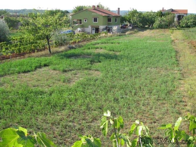 BARBAN - Prodaje se građevinsko zemljište,1329 m2 / 300 m o.. - 2