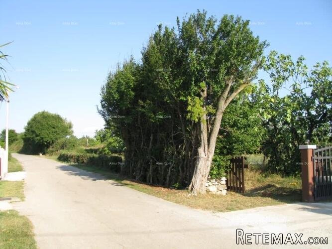 BARBAN - Prodaje se građevinsko zemljište,1329 m2 / 300 m o.. - 3