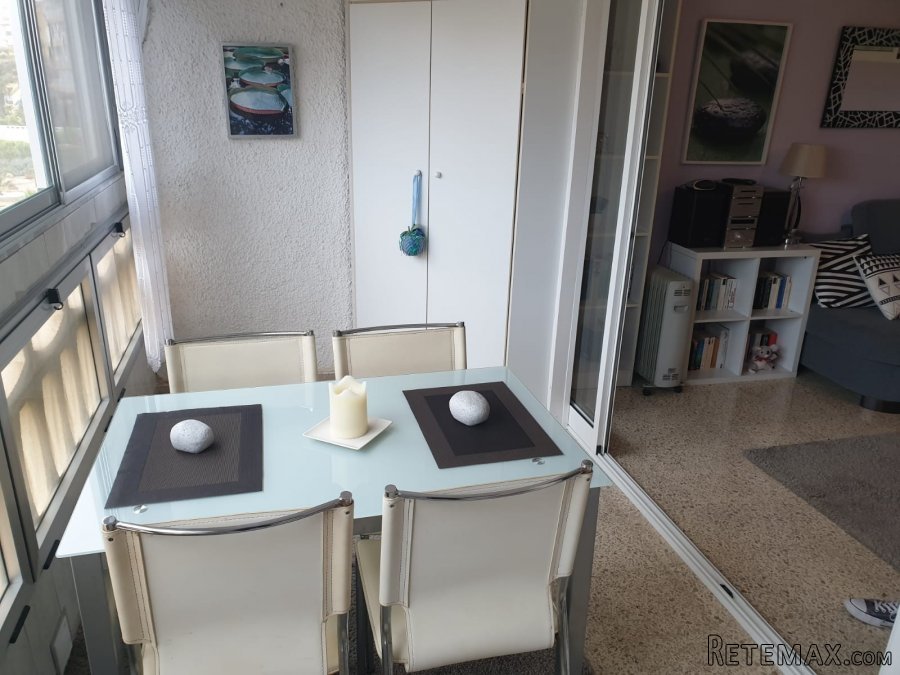 Bonito apartamento 1 dormitorio , ascensor , terraza , muy.. - 4