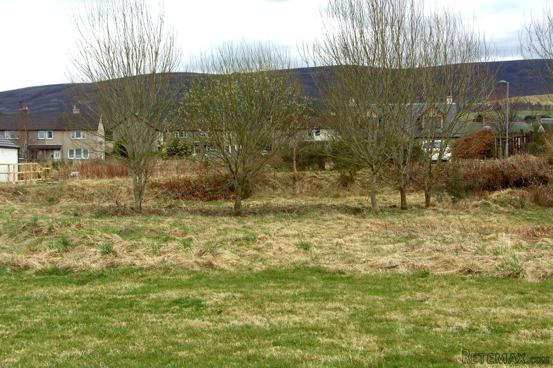 Plot 22, Auchroisk Park, Cromdale