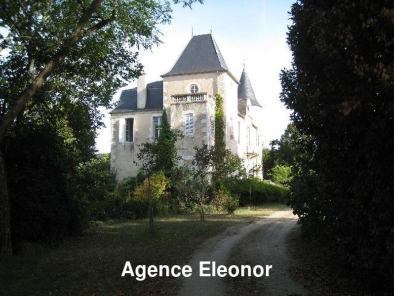 Well Renovated Chateau Walking Distance.. - 2