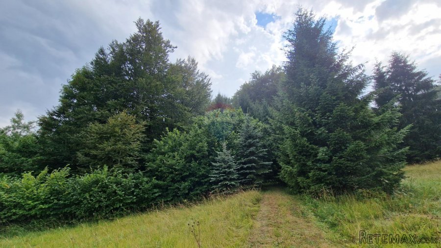 Poljoprivredno zemljište 9970 m2 blizina Delnica - 2