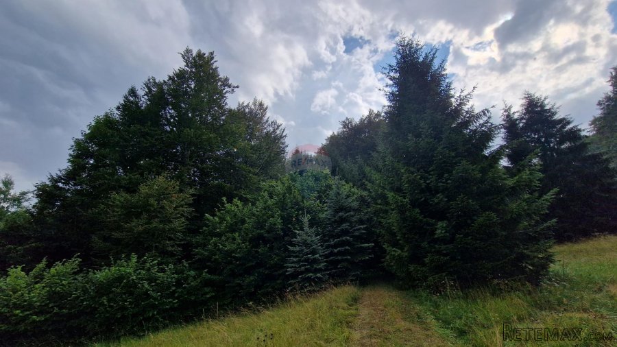 Poljoprivredno zemljište 9970 m2 blizina Delnica - 3