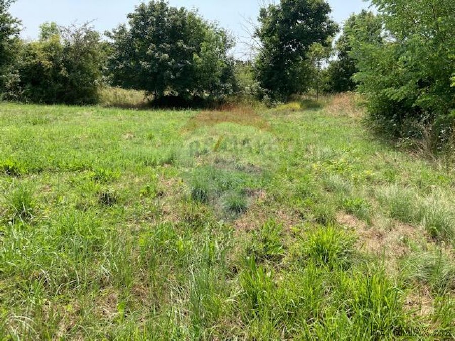 Grožnjan, građevinsko zemljište površine 1418 m2 s idejnim p - 6