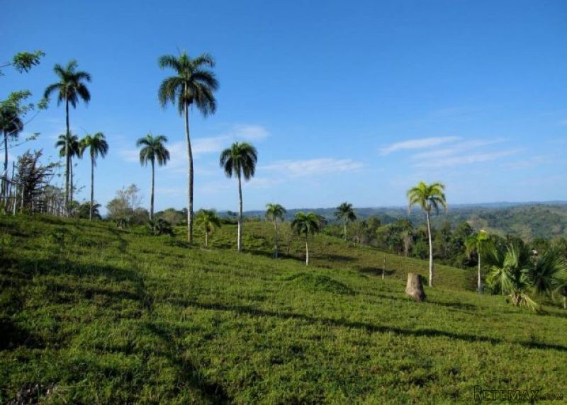 Dominican Republic Dairy Farm