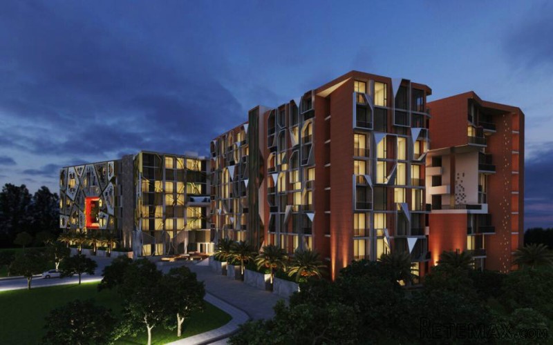 Emerald City Life - Modern Stylish..