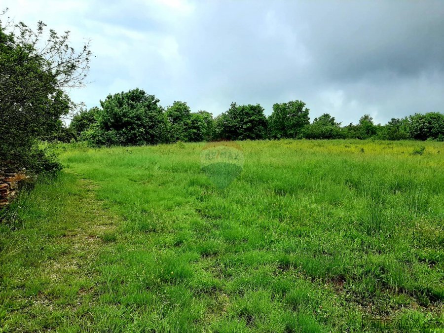 Istra, građevinsko zemljište u okolici Brtonigle - 4