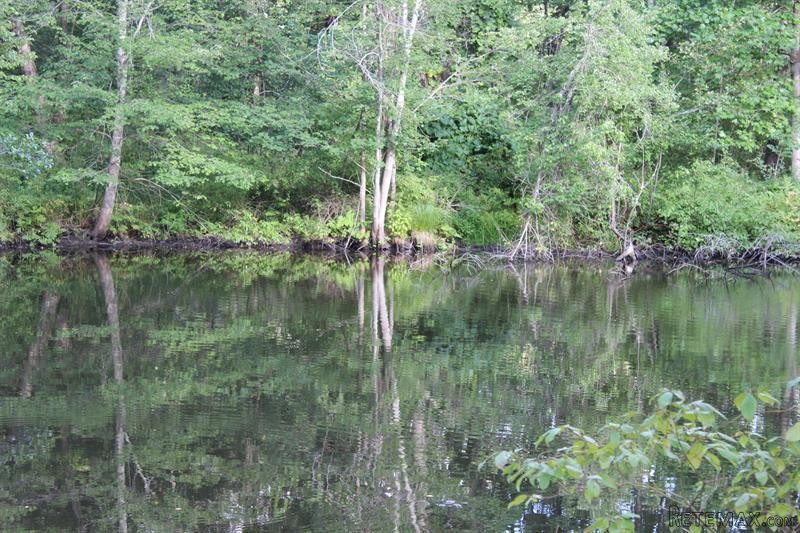 Land For Sale: Pond Gut Lagrangeville..