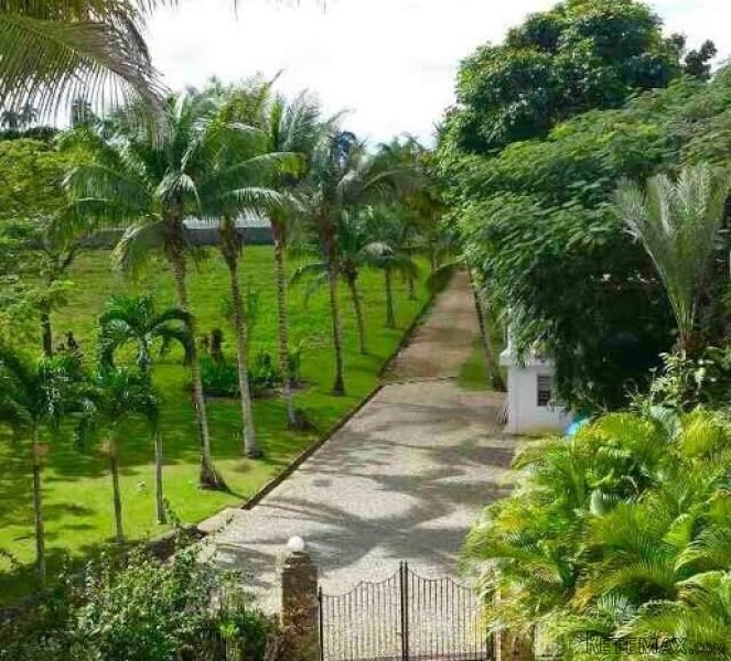 Organic Farm With A Beautiful Home - 2