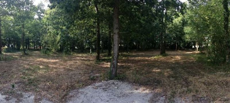 Sale Land Breuillet (17920)