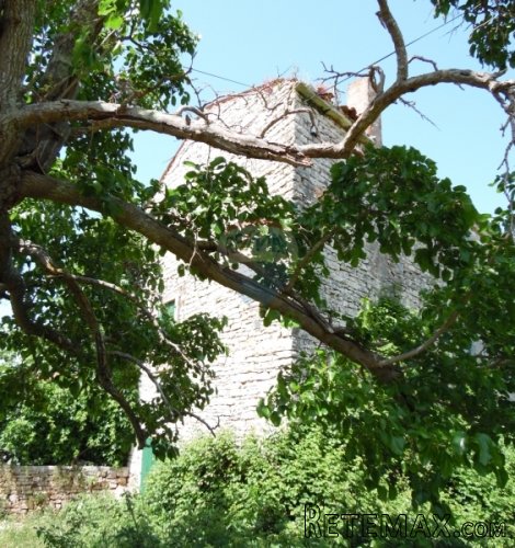 Istra,šarmantna stara kamena kuća sa većom okućnicom - 4