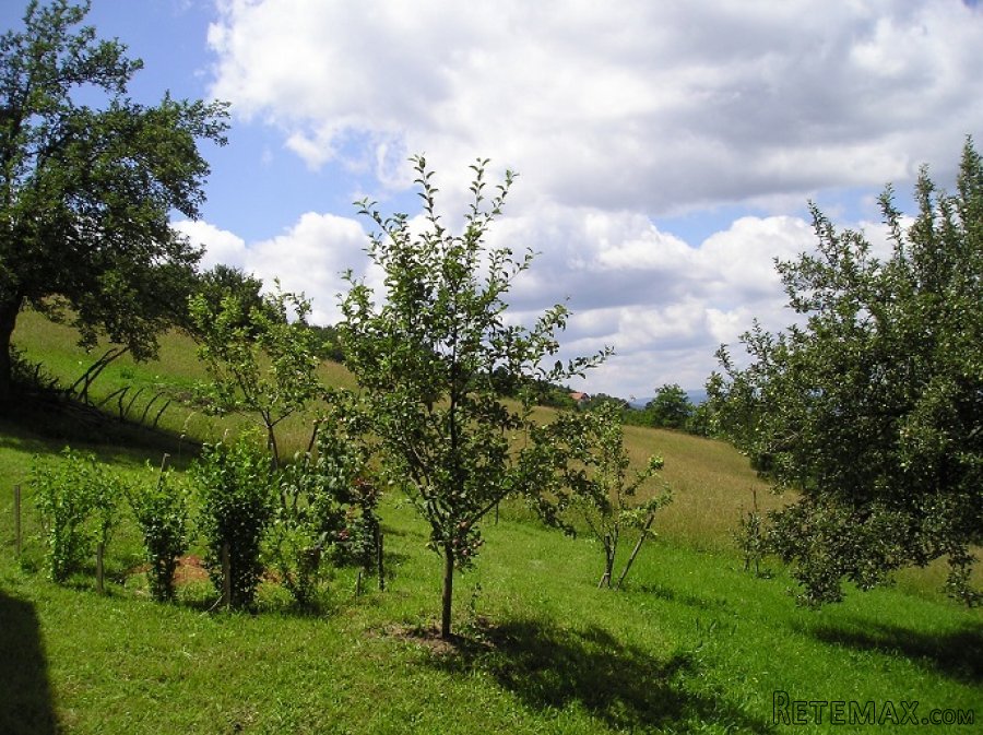 Zlatibor-plac na prodaju - 2