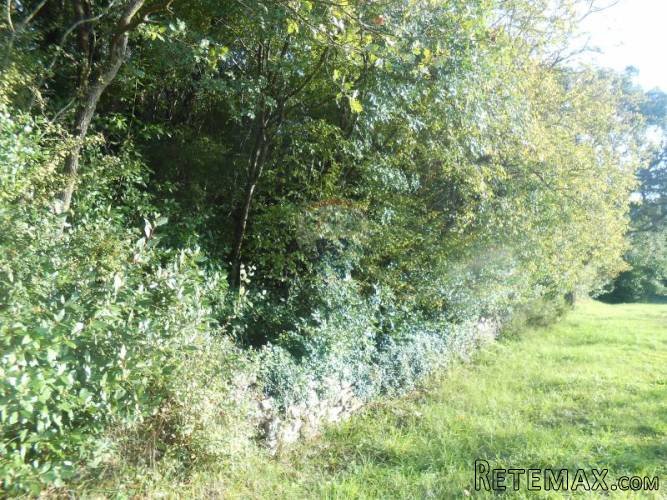 Istra, Pula, veliko građevisnko zemljište u predgrađu - 4