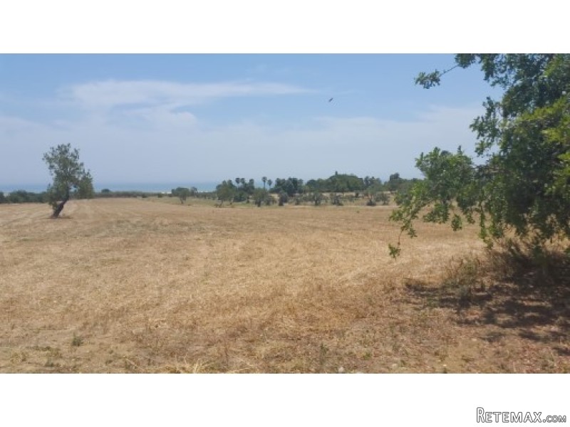 Large Front Line Plot Cacela Velha With.. - 2