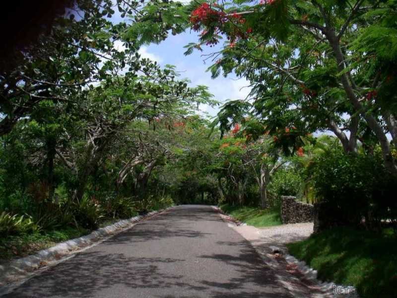 Lot For Sale In Residential Development..