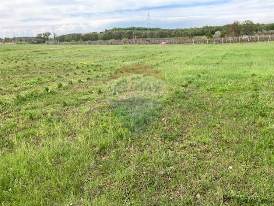 Poreč, okolica, poljoprivredno zemljište 30000m2 - 2