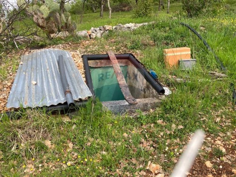 Poreč, okolica, poljoprivredno zemljište 30000m2 - 4