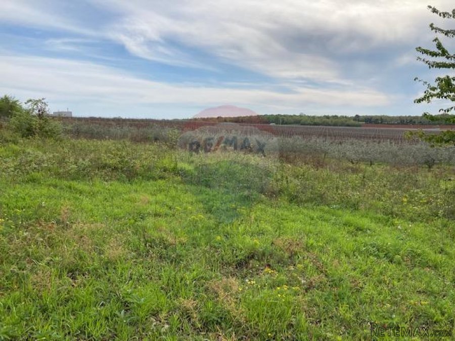 Poreč, okolica, poljoprivredno zemljište 30000m2 - 5