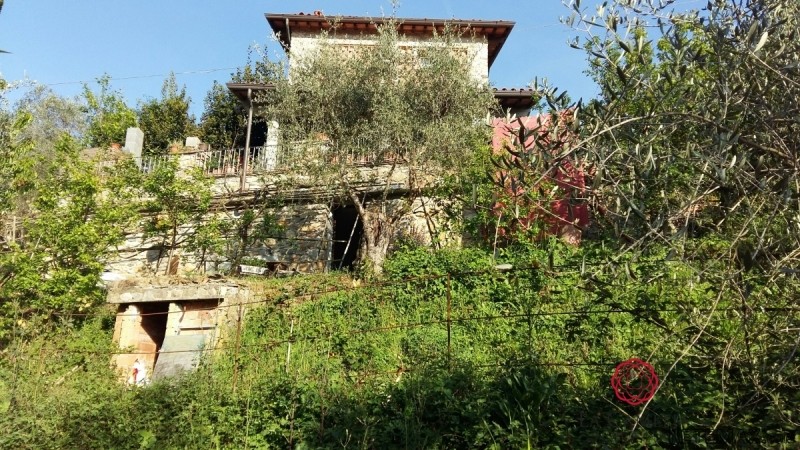 For Sale Farmhouse Massarosa