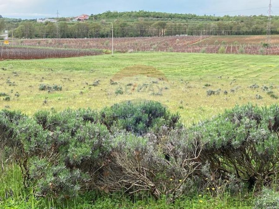 Poreč, okolica, poljoprivredno zemljište 30000m2 - 7