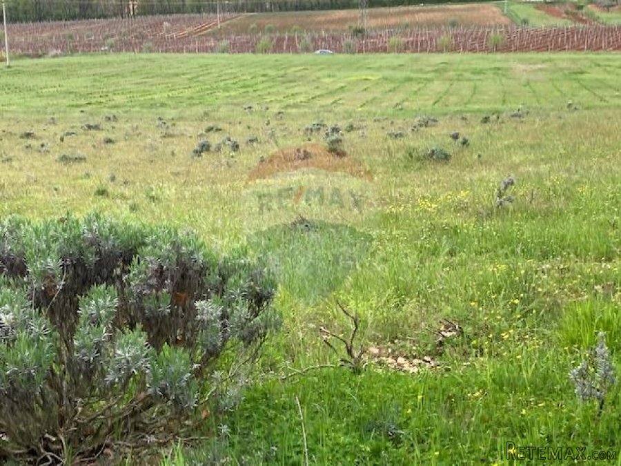 Poreč, okolica, poljoprivredno zemljište 30000m2 - 8