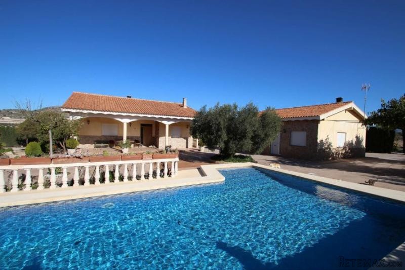 Spectacular villa in Sax (Ref. PV2533)