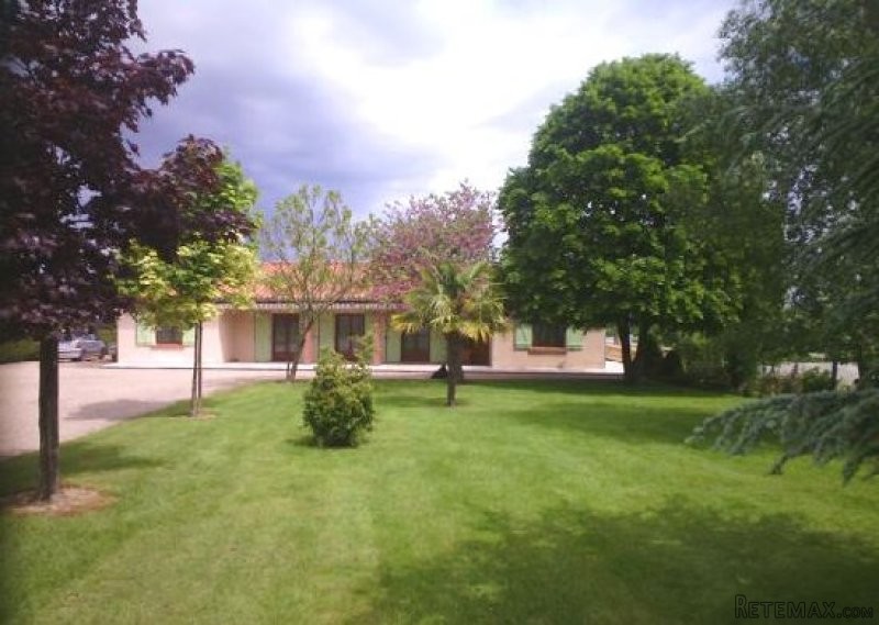 Grand Country House with Nice garden - 2