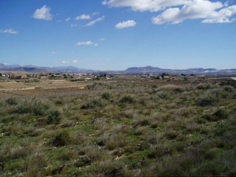 Novelda- Legal Building Plot For Sale..